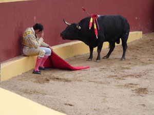 bullfight.jpg