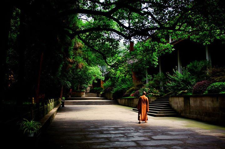amitabha (1).jpg