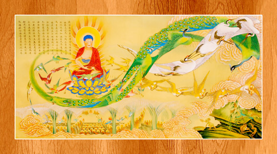 Amitabha 007