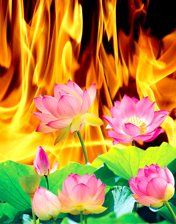 fire-n (1).jpg