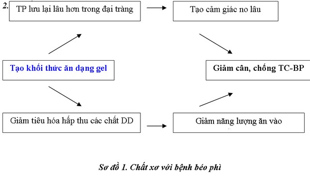 Chất xơ với sức khoẻ và một số bệnh mạn tính nguy hiểm