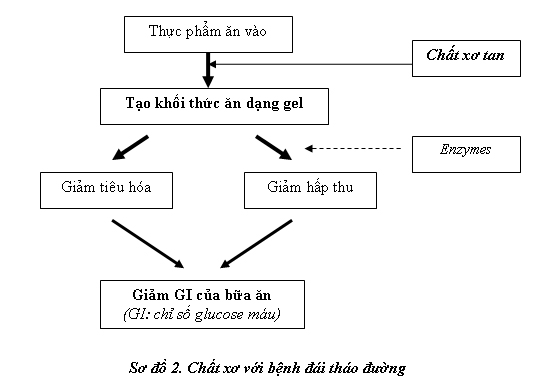 Chất xơ với sức khoẻ và một số bệnh mạn tính nguy hiểm