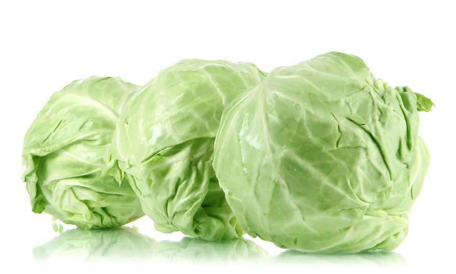 cabbage