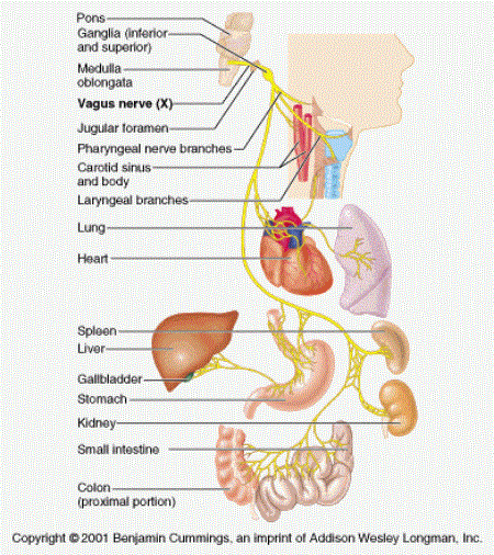 q1.gif