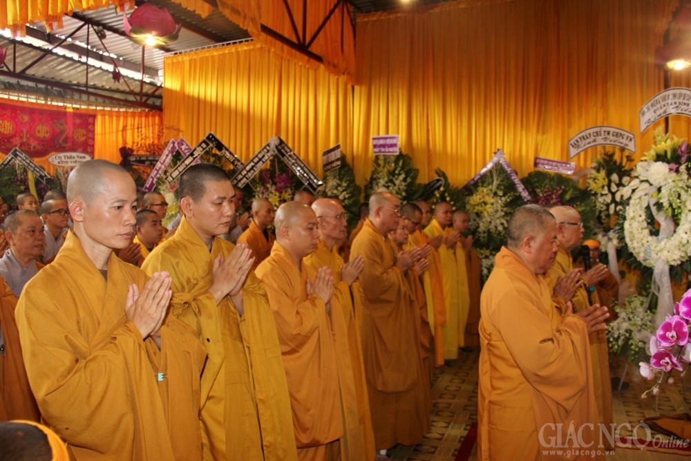hinh (10).jpg