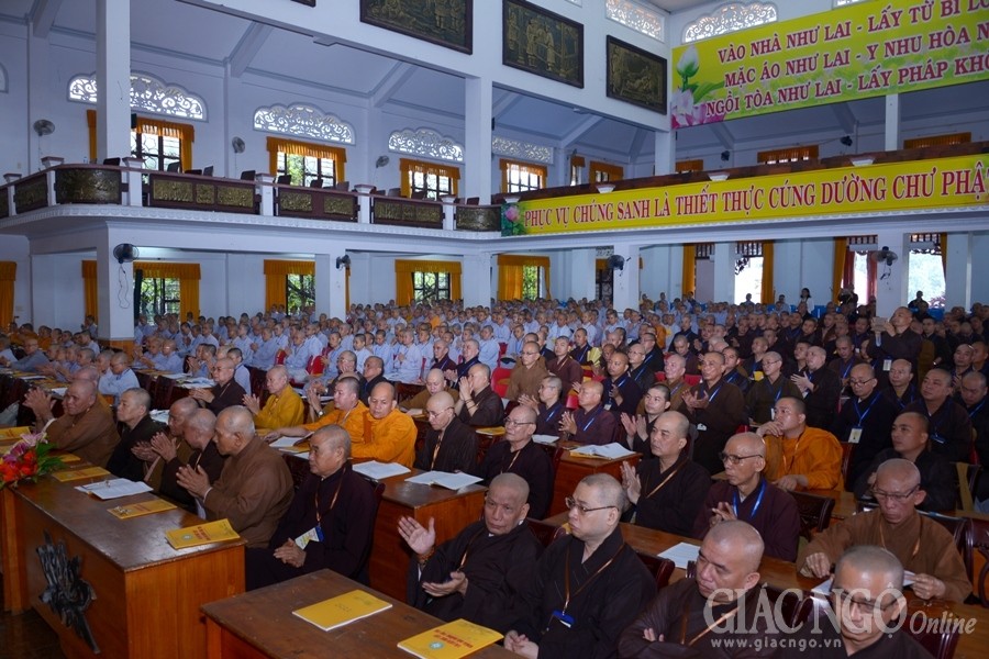 ANH AA (10).JPG