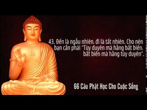 66 câu phật học cho đời sống