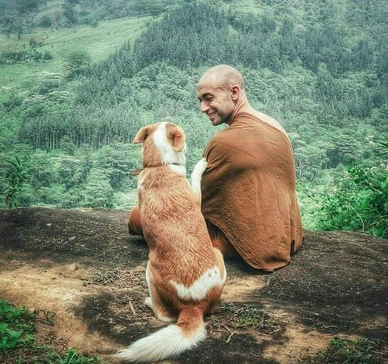 Vì nuôi dưỡng tâm từ, vì tôn trọng sự sống bình đẳng của mọi loài, vì sợ nghiệp quả giết hại nặng nề nên người Phật tử nguyện không làm tổn hại các loài vật, không bảo người khác bức hại, thấy người khác có hành vi giết hại không cổ xúy, chẳng vui mừng.